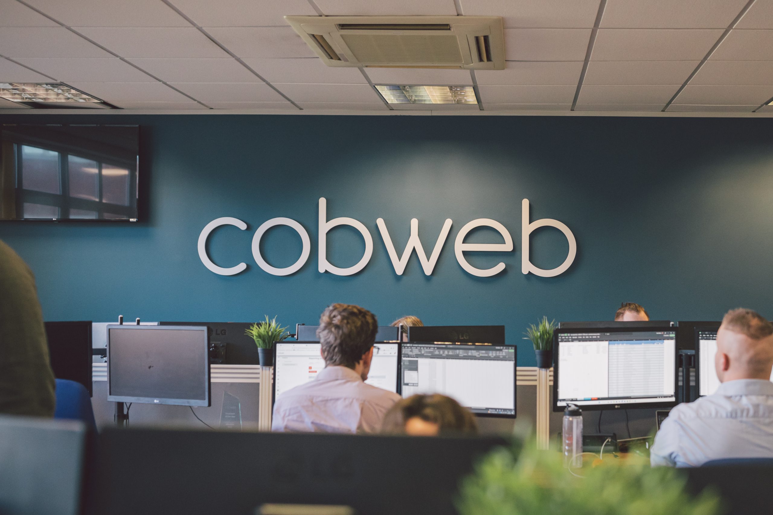Cobweb Brand Refresh