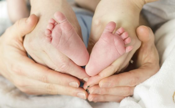 Family Photography Services